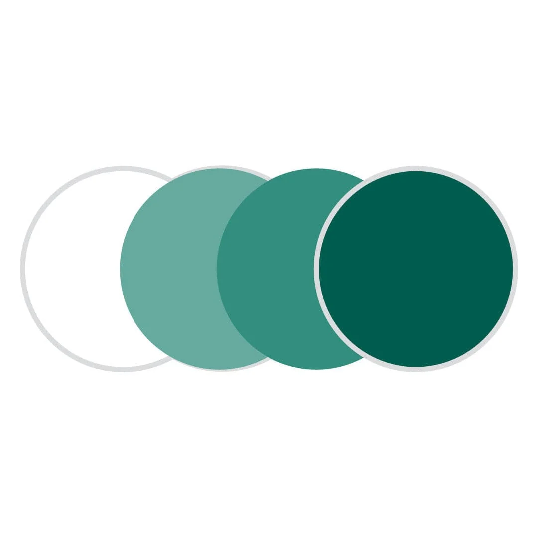 1.67 High Index Transitions Lenses with AR (thinner lenses for prescriptions +/- 3.00D or stronger) - Image 3